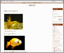 金魚日記 様
